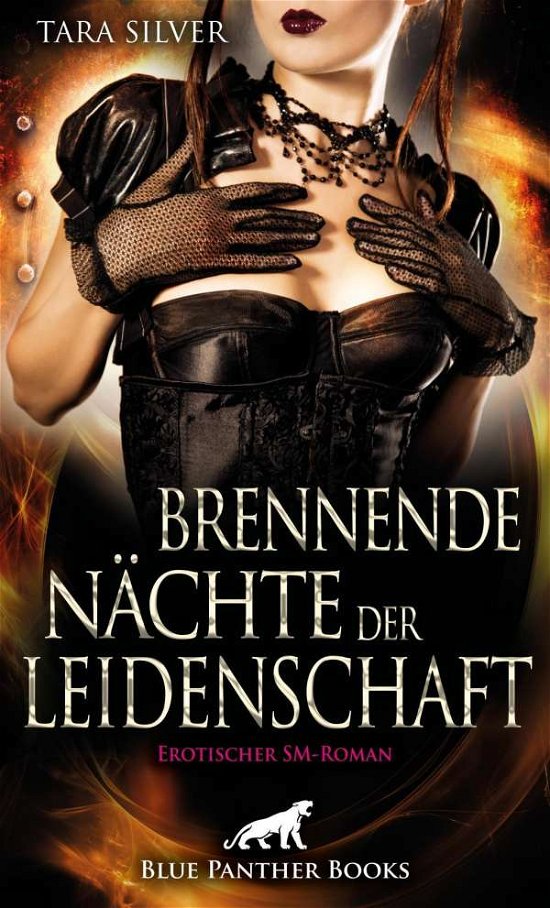 Cover for Silver · Brennende Nächte der Leidenschaf (Book)