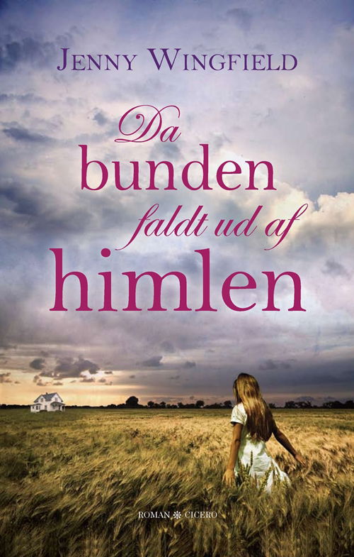 Cover for Jenny Wingfield · Da bunden faldt ud af himlen (Sewn Spine Book) [1st edition] (2011)