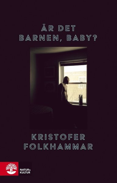 Cover for Kristofer Folkhammar · Är det barnen, baby? (Innbunden bok) (2021)