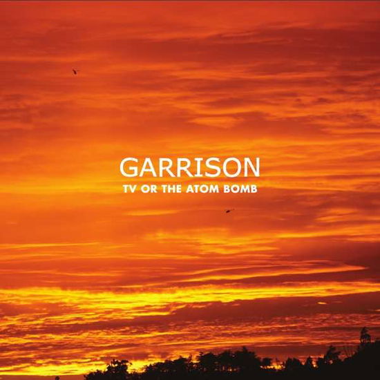 Cover for Garrison · Tv Or The Atom Bomb (LP) [Limited edition] (2020)