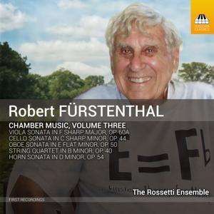 Cover for Rossetti Ensemble · Chamber Music Vol.3 (CD) (2020)