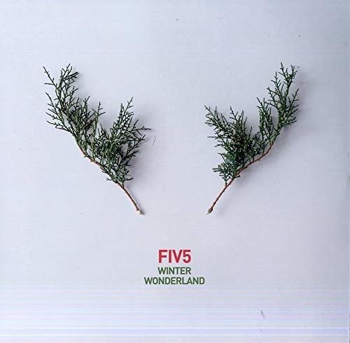 Cover for Fiv5 · Winter Wonderland (LP) (2018)