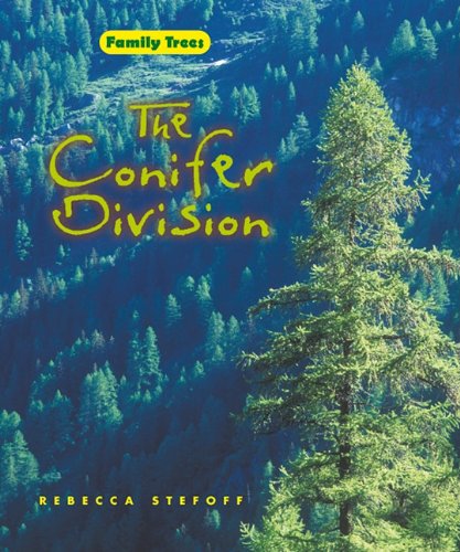 Cover for Rebecca Stefoff · The Conifer Division (Family Trees) (Hardcover Book) (2009)