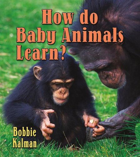 Cover for Bobbie Kalman · How Do Baby Animals Learn? (It's Fun to Learn About Baby Animals) (Hardcover Book) (2012)