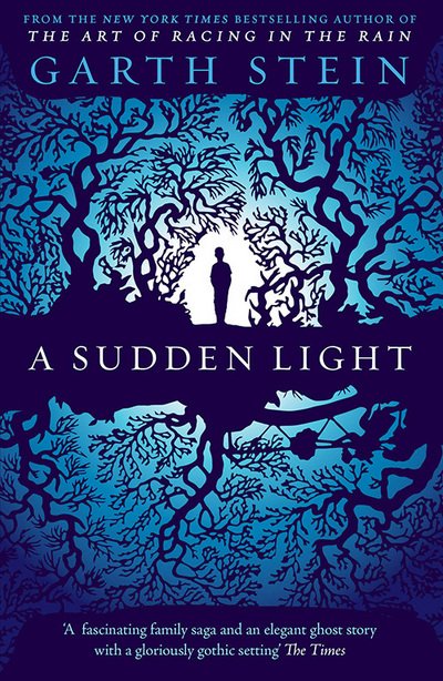 Cover for Garth Stein · A Sudden Light (Taschenbuch) (2015)