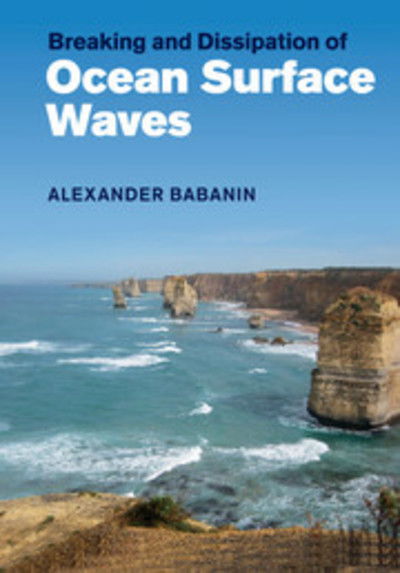 Cover for Babanin, Alexander (Swinburne University of Technology, Victoria) · Breaking and Dissipation of Ocean Surface Waves (Paperback Book) (2018)