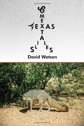 Cover for David Watson · Some Texas Tails Tales (Paperback Book) (2014)