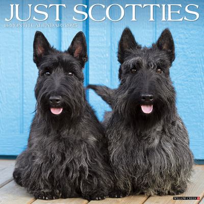 Cover for Willow Creek Press · Just Scotties 2025 12 X 12 Wall Calendar (Calendar) (2024)