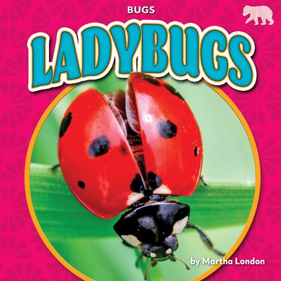 Cover for Martha London · Ladybugs (Book) (2022)