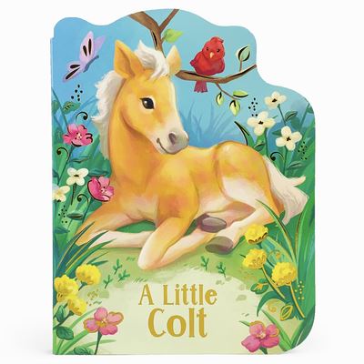 Cover for Rosalee Wren · Little Colt (Book) (2019)