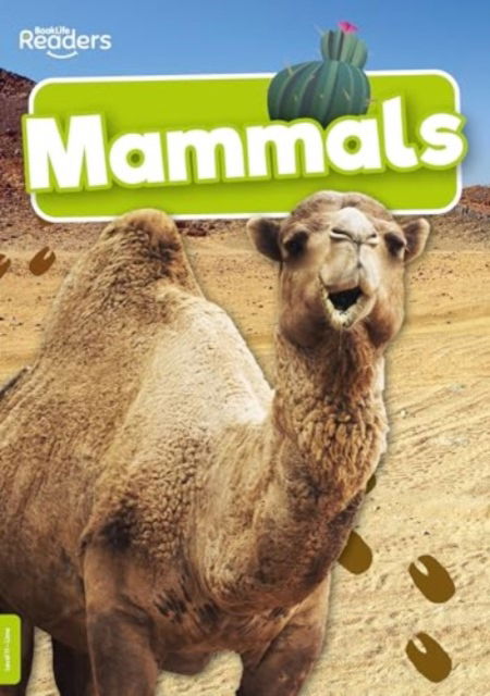 Mammals - BookLife Non-Fiction Readers - Charlie Ogden - Books - BookLife Publishing - 9781805050773 - June 1, 2024