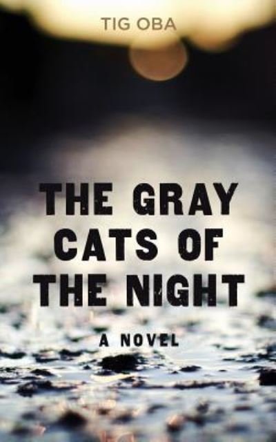 Cover for Tig Oba · The Gray Cats of the Night (Paperback Book) (2017)