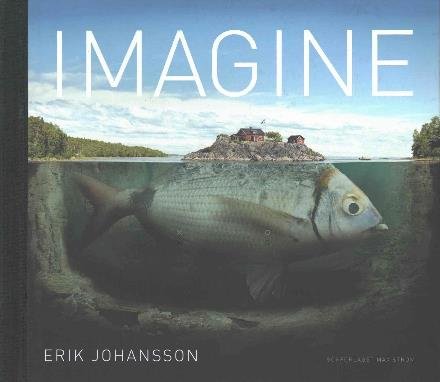 Imagine (Engelsk utgåva) - Göran Segeholm - Books - Max Ström - 9789171263773 - February 29, 2016