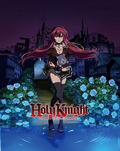 Cover for Holy Knight (DVD) (2015)