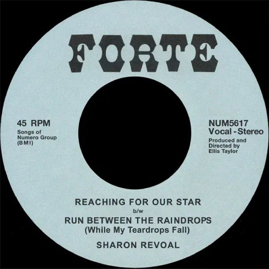 Sharon Revoal · Reaching for Our Star B/w Run Between the Raindrops (7") (2024)