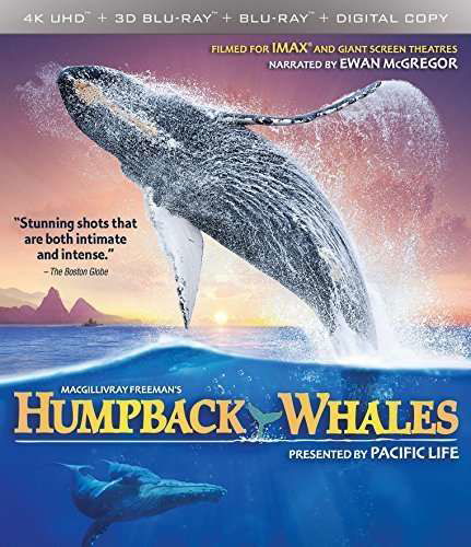Cover for Imax: Humpback Whales (4K Ultra HD) [Widescreen edition] (2016)