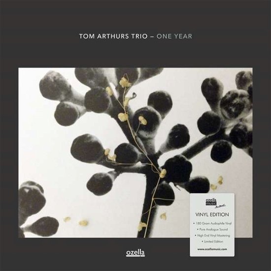 Cover for Tom Arthurs Trio · One Year (LP) (2018)