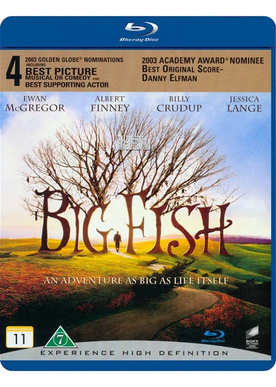 Cover for Big Fish (Rwk 2014) Bd (Blu-ray) (2014)