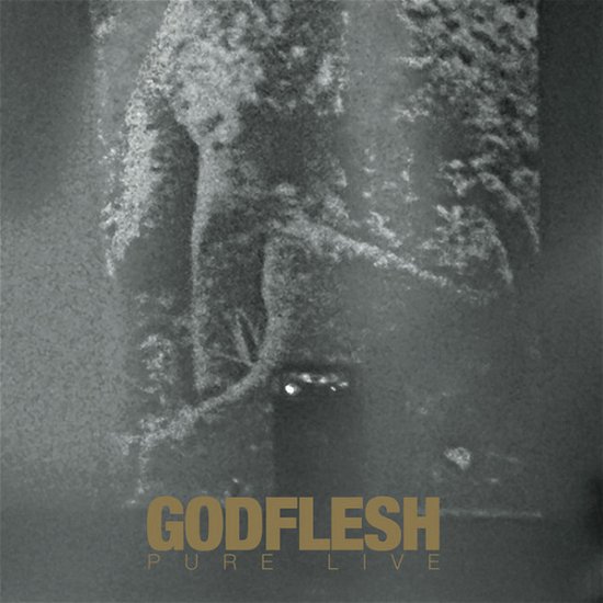 Pure: Live - Godflesh - Music - AVALANCHE RECORDINGS - 9502655819774 - December 9, 2022