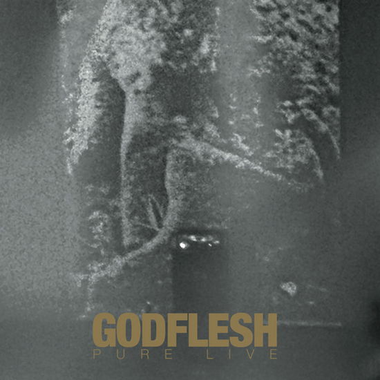 Cover for Godflesh · Pure: Live (CD) (2022)