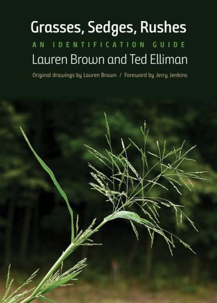 Grasses, Sedges, Rushes: An Identification Guide - Lauren Brown - Books - Yale University Press - 9780300236774 - October 13, 2020