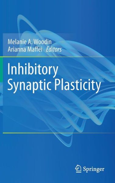 Cover for Melanie a Woodin · Inhibitory Synaptic Plasticity (Hardcover Book) [2011 edition] (2010)