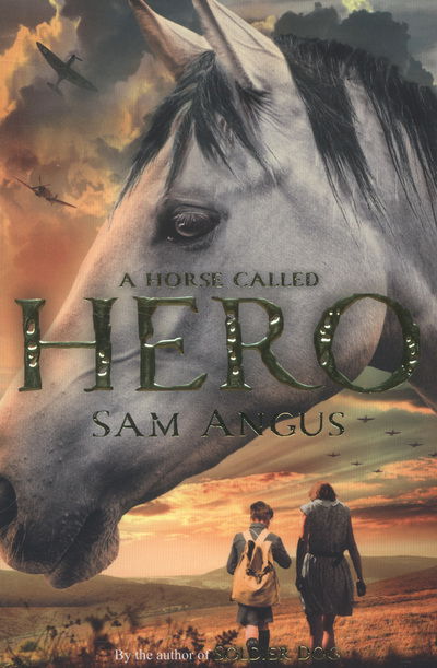 Cover for Sam Angus · A Horse Called Hero (Paperback Book) [Main Market Ed. edition] (2013)