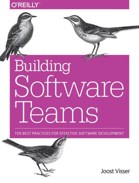 Cover for Joost Visser · Building Software Teams (Taschenbuch) (2017)