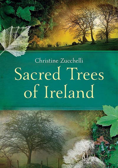 Cover for Christine Zucchelli · Sacred Trees of Ireland (Paperback Book) [New edition] (2016)