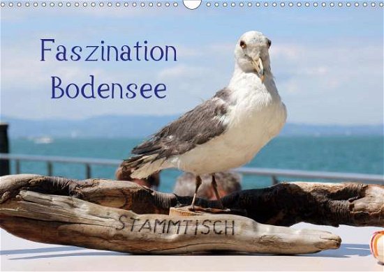 Faszination Bodensee (Wandkalender - Raab - Bøger -  - 9783671663774 - 