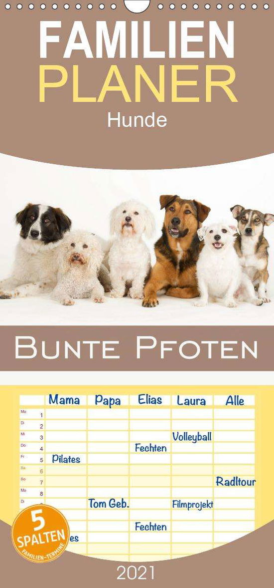 Cover for Noack · Bunte Pfoten - Familienplaner hoc (Book)