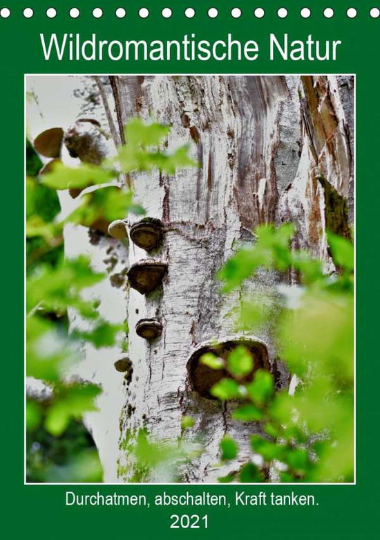 Cover for Gaudig · Wildromantische Natur (Tischkale (Book)