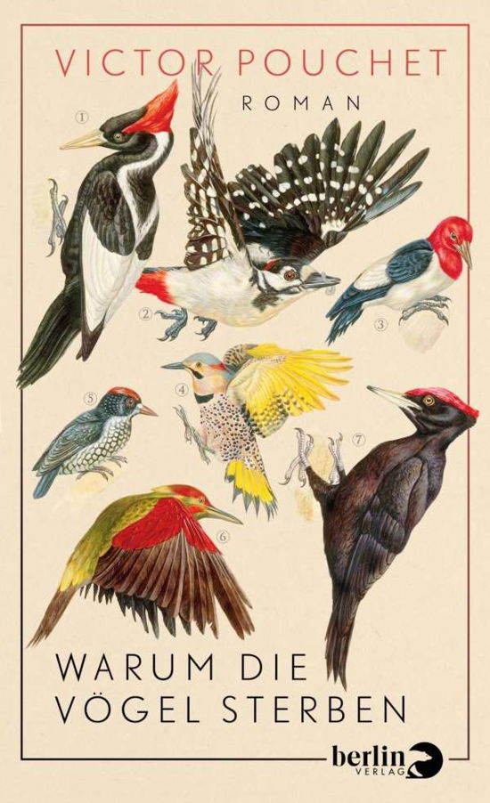 Cover for Pouchet · Warum die Vögel sterben (Book)