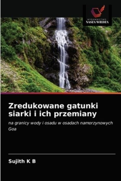 Cover for Sujith K B · Zredukowane gatunki siarki i ich przemiany (Paperback Book) (2021)