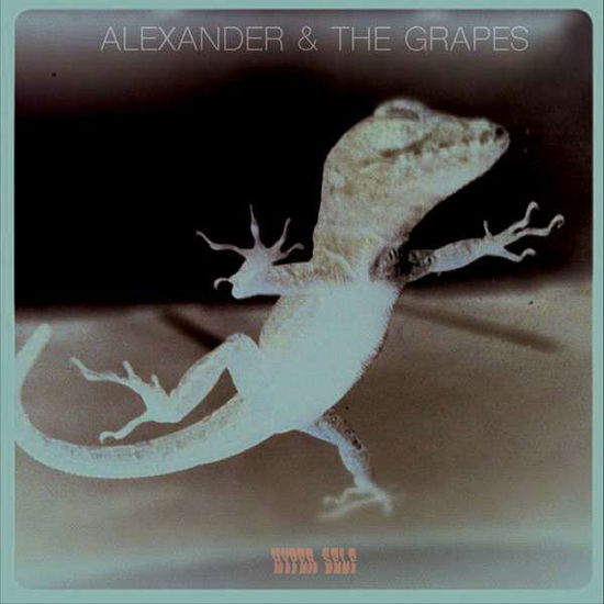 Alexander & The Grapes-Hyper Self -Slidepack- - Alexander & The Grapes - Música - Allegro - 0738676990775 - 6 de maio de 2016