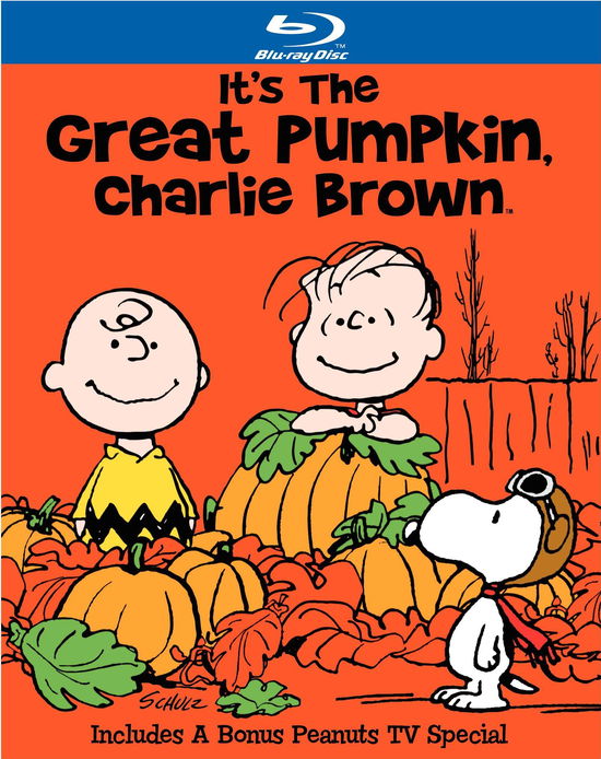 Cover for Blu-ray · It's the Great Pumpkin, Charlie Brown (Blu-ray) [Deluxe edition] (2010)