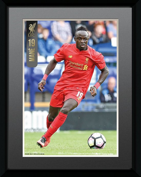 Cover for Liverpool · Liverpool: Mane 16/17 (Stampa In Cornice 15x20 Cm) (MERCH)