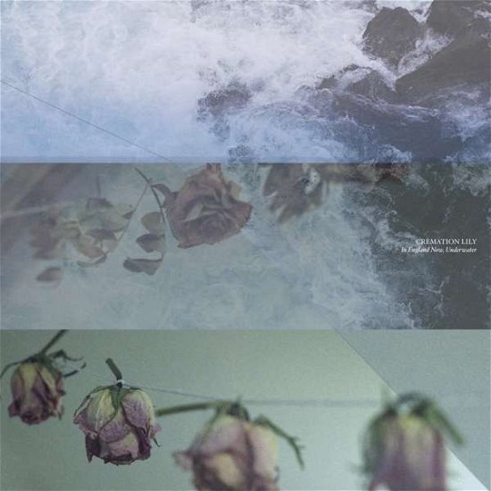 Cover for Cremation Lily · In England Now, Underwater (LP) (2018)