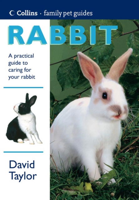 Cover for David Taylor · Rabbit - Collins Family Pet Guide (Paperback Bog) (1999)