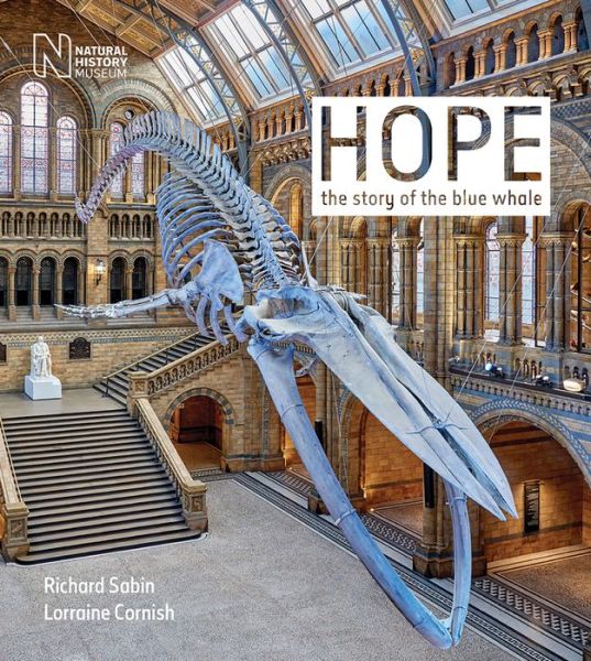 Hope: The story of the blue whale - Richard Sabin - Books - The Natural History Museum - 9780565094775 - October 31, 2019