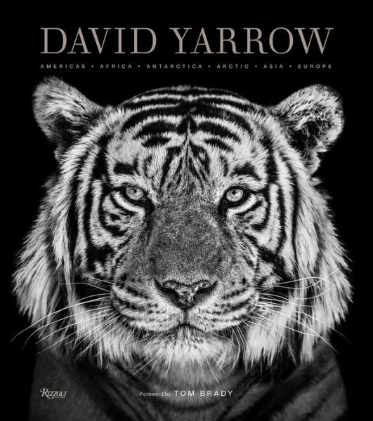 Cover for David Yarrow · David Yarrow Photography: Americas Africa Antarctica Arctic Asia Europe (Hardcover Book) (2019)