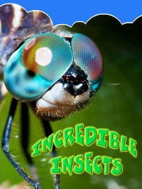 Cover for Kelli Hicks · Incredible Insects (Hardcover Book) (2010)