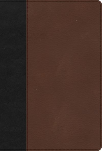 Cover for Holman Bible Publishers · KJV Large Print Thinline Bible, Black / Brown LeatherTouch (Book) (2023)