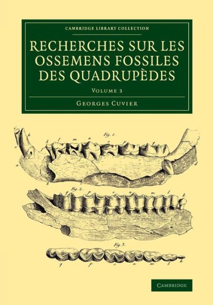 Cover for Georges Cuvier · Recherches sur les ossemens fossiles des quadrupedes - Recherches sur les ossemens fossiles des quadrupedes 4 Volume Set (Paperback Book) (2015)