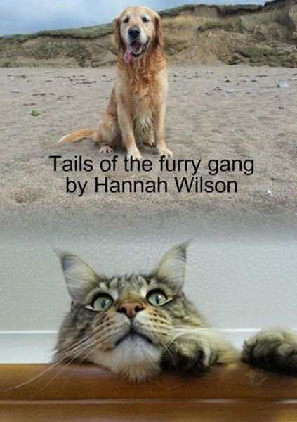 Cover for Hannah Wilson · Tails of the Furry Gang (Pocketbok) (2013)