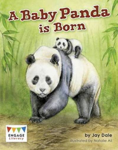 Cover for Jay Dale · A Baby Panda is Born (Paperback Book) (2017)