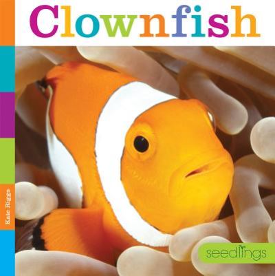 Cover for Kate Riggs · Clownfish (Hardcover Book) (2017)