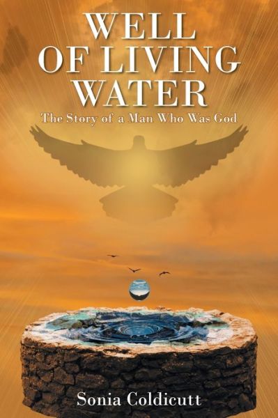 Cover for Sonia Coldicutt · Well of Living Water (Paperback Book) (2020)