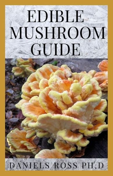Cover for Daniels Ross Ph D · Edible Mushroom Guide (Pocketbok) (2019)