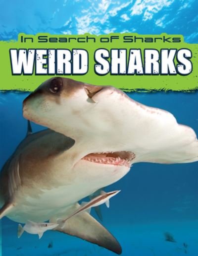 Cover for David Thompson · Weird Sharks (Innbunden bok) (2021)